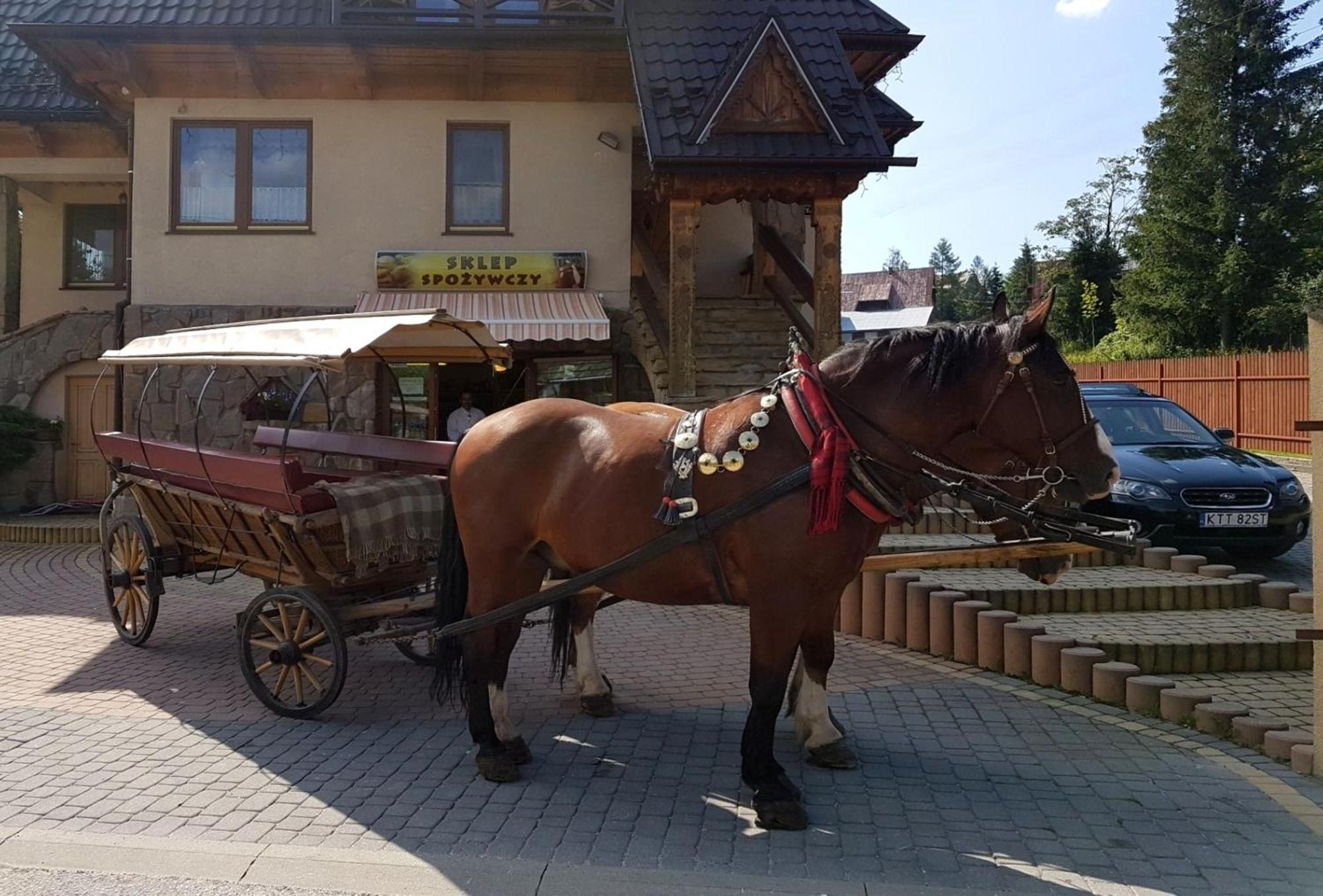 Pokoje Goscinne Pod Giewontem Закопане Екстериор снимка